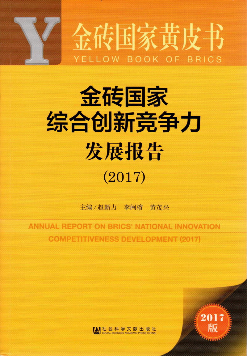 要操白胖细嫩骚女人的骚逼啪啪啪啪啪啪啪啪毛片免费视频金砖国家综合创新竞争力发展报告（2017）